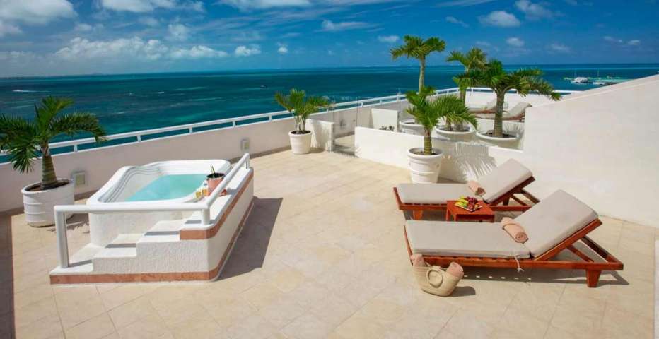 Grand Oasis Palm 