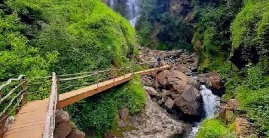 Honey entre nubes, café y cascadas | #TregoViajes